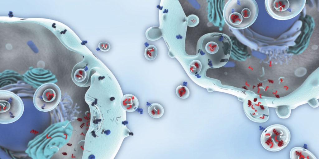 exosome nanoparticle Exosomes, miRNA, microRNA, miScript, biomarker, 